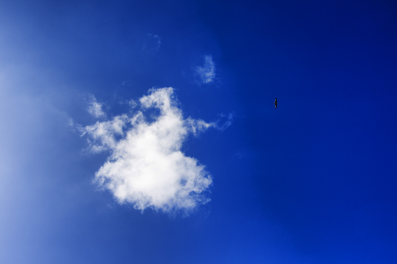 Cloud computing