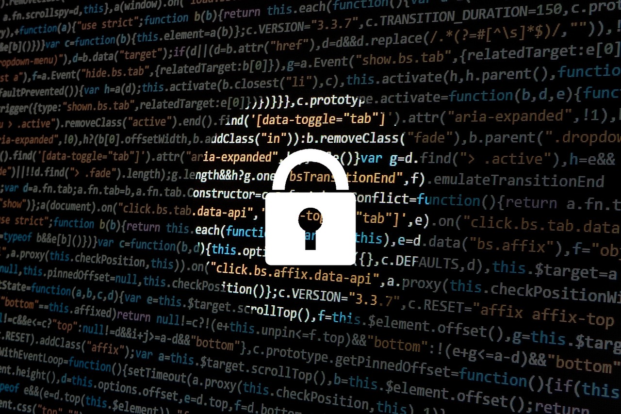 Cyber security hacker