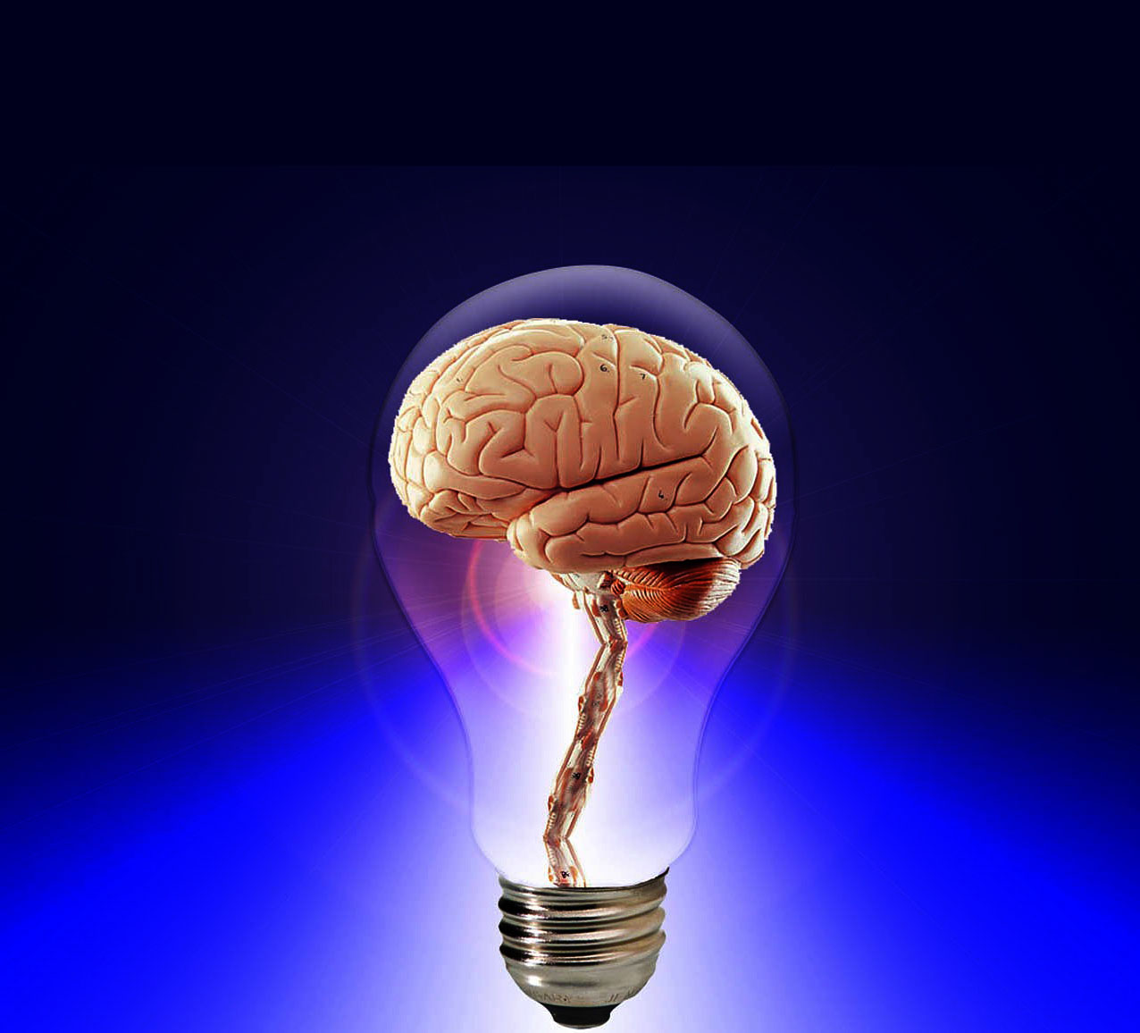 Infographics: Zo gaan IoT & Artificial Intelligence ons leven beïnvloeden Artificial Intelligence IoT