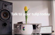 Google Tulip