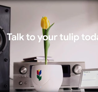 Google Tulip