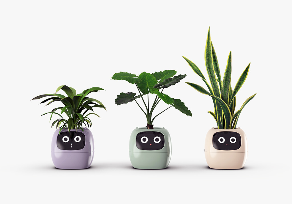 VrijdagmiddagVideo: IoT laat planten ‘spreken’ Ivy VrijdagmiddagVideo IoT