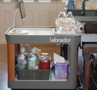 VrijdagmiddagVideo Labrador Retriever IoT