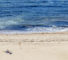 IoT Zomervakantie IoT Journaal